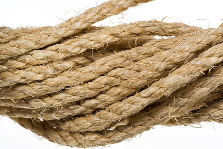 Sisal