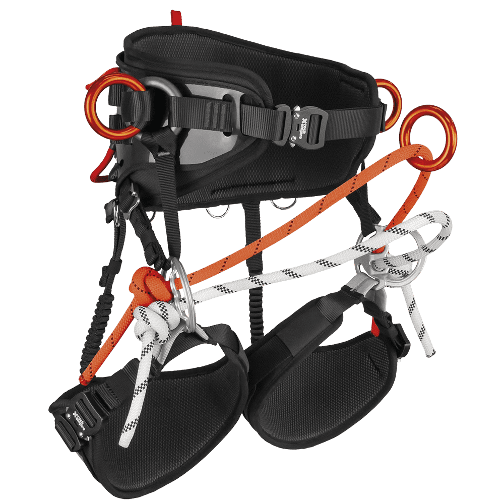 Harnesses