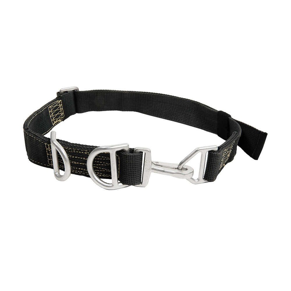 Harnesses