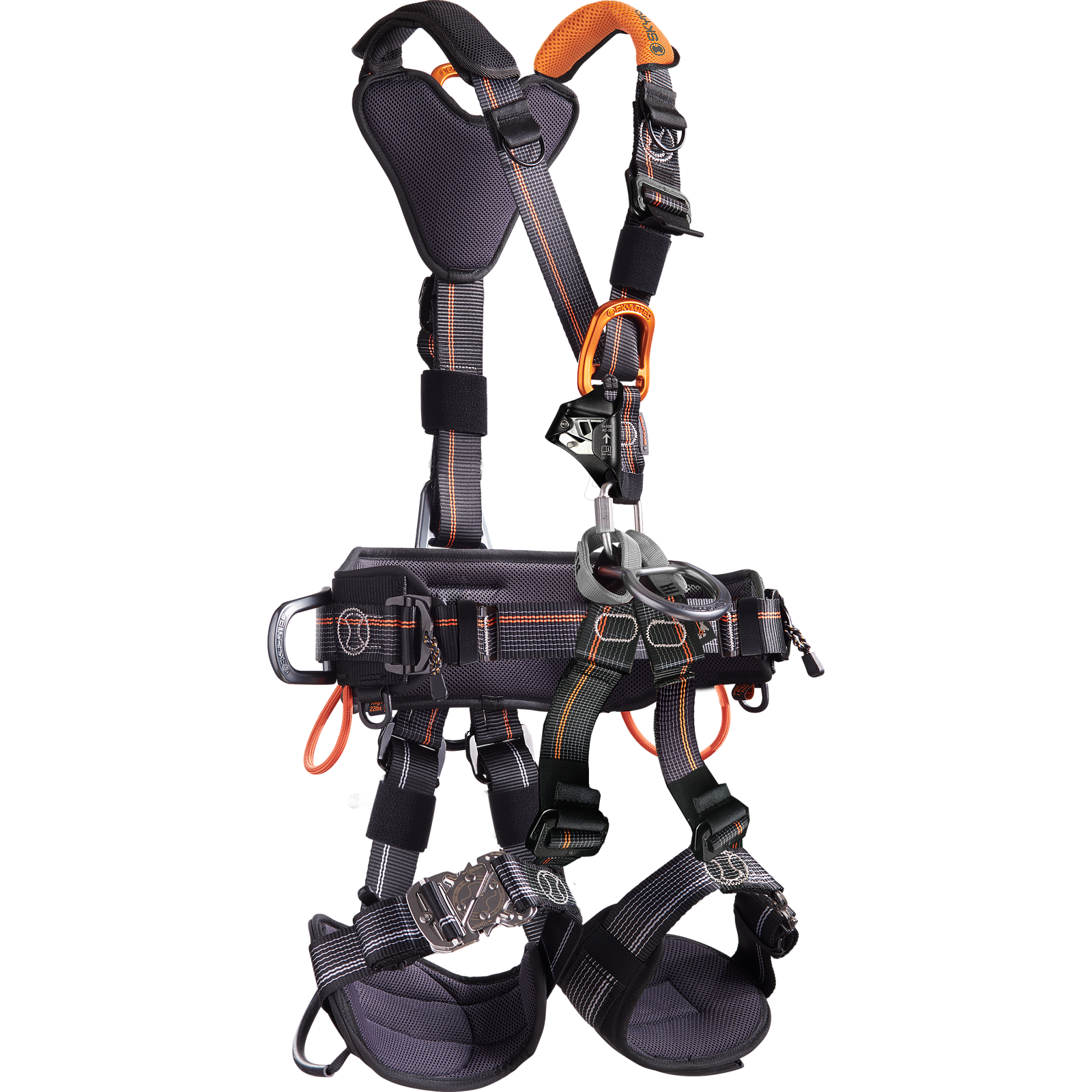 Harnesses